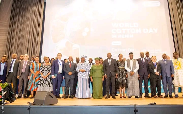 Journée mondiale du Coton au Bénin : le début d'une nouvelle ère de l'or blanc africain