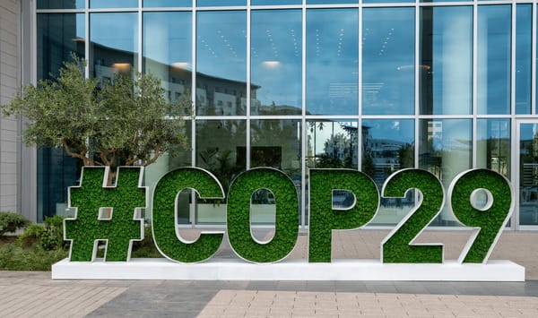 COP29