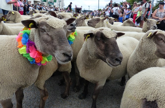 La fête de mouton